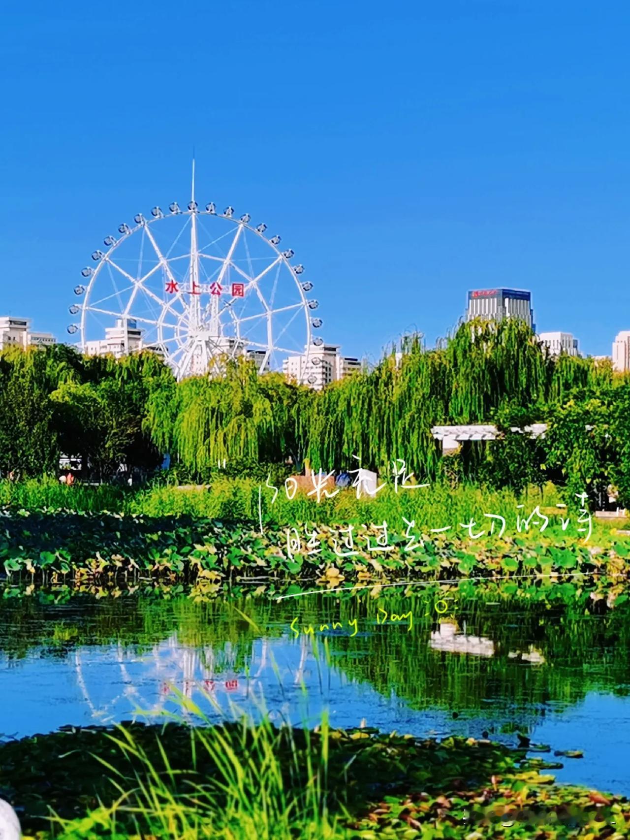 天津水上公园

一一水上公园景色美

一一【原创摄影】

一一昨天拍摄于天津水上