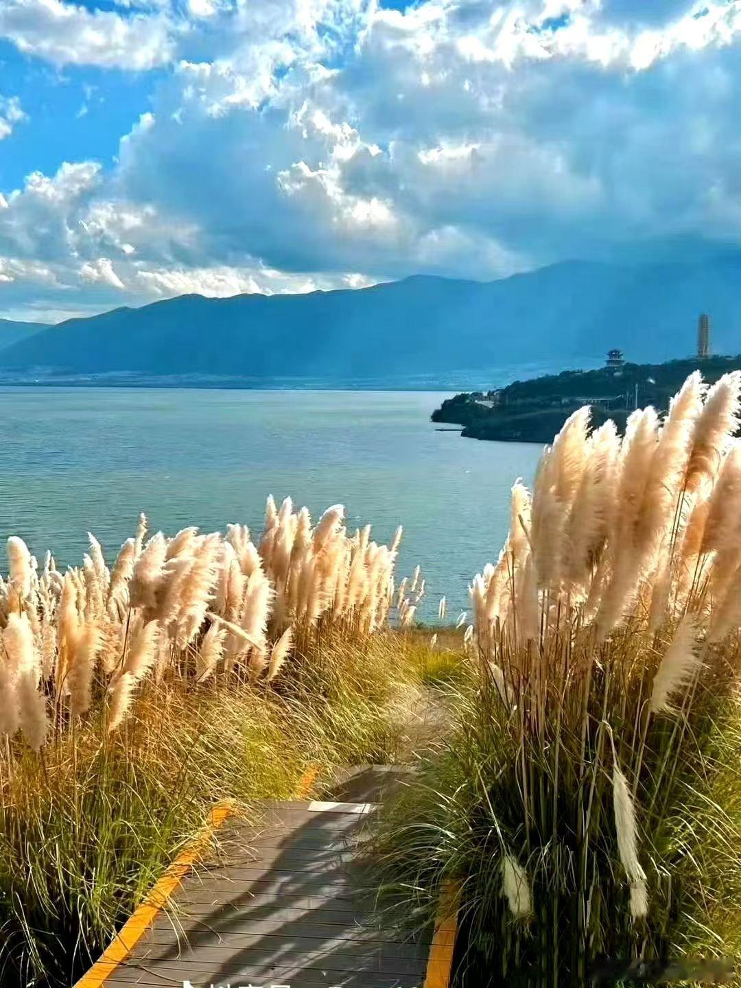 有河流的地方不一定有城市有城市的地方一定会有河流风水之法，得水为上风水风水，水就