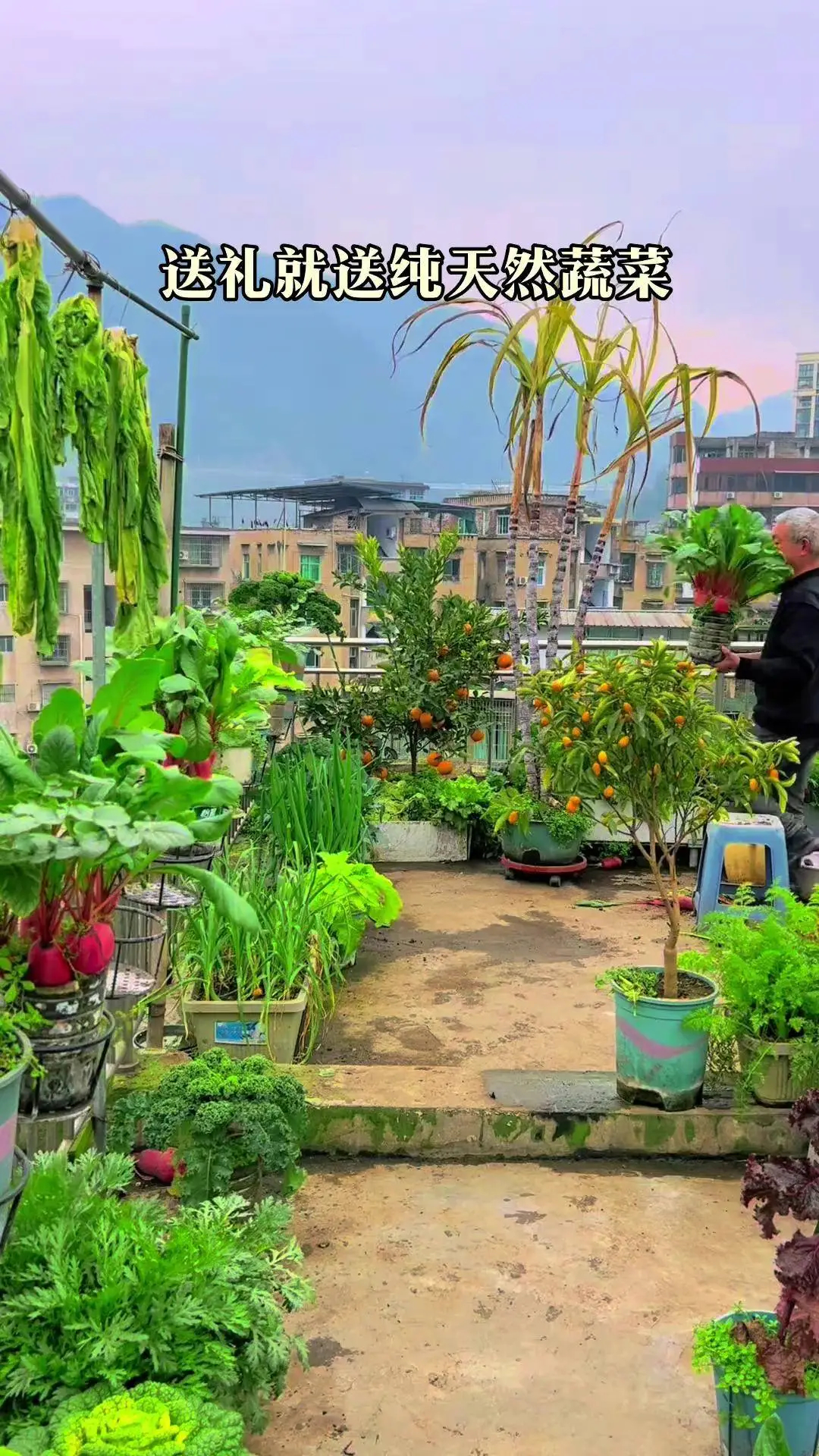 18层楼加盖1层全体业主怒了看到过很多顶楼种菜种花的，算不算废物场地再利用啊。 