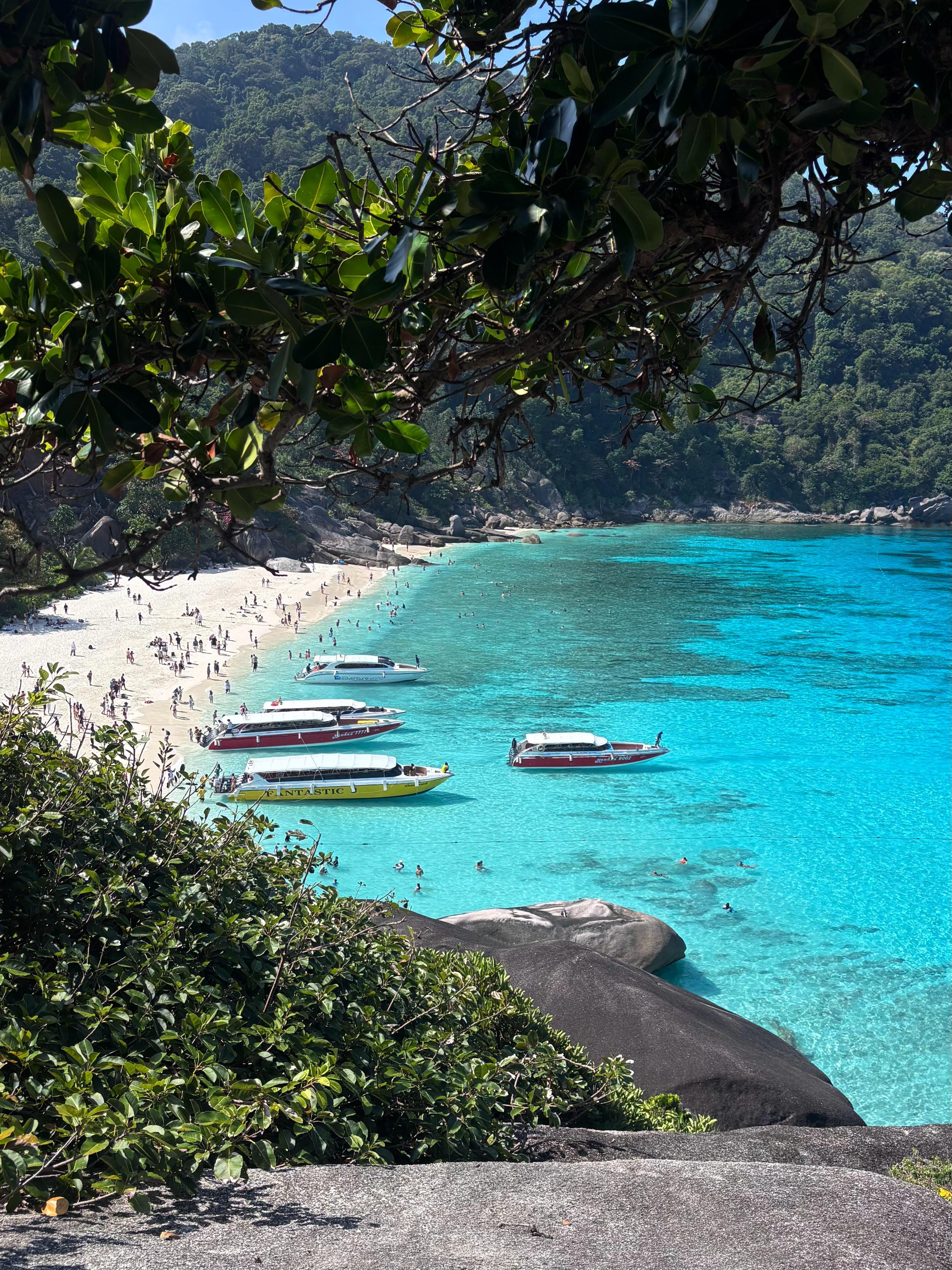 ₍˄·͈༝·͈˄*₎◞ ̑̑ 