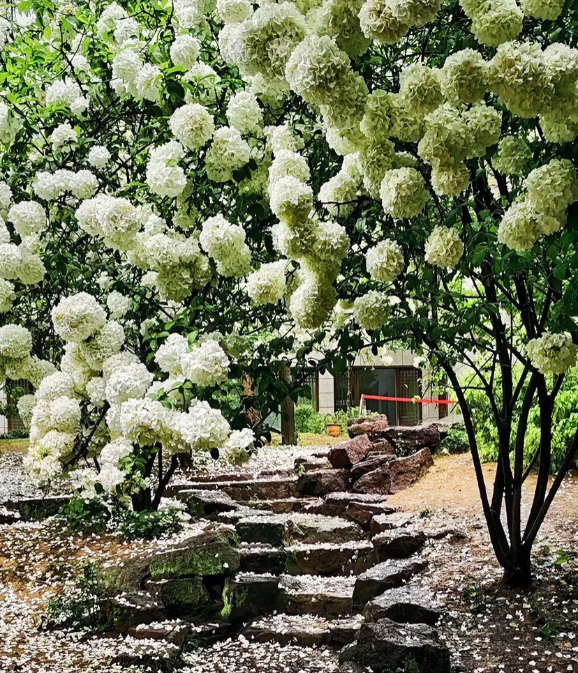 一位75岁的退休老厅长说得太实在了：真别为养老瞎发愁。

咱们普通人，大多也就活