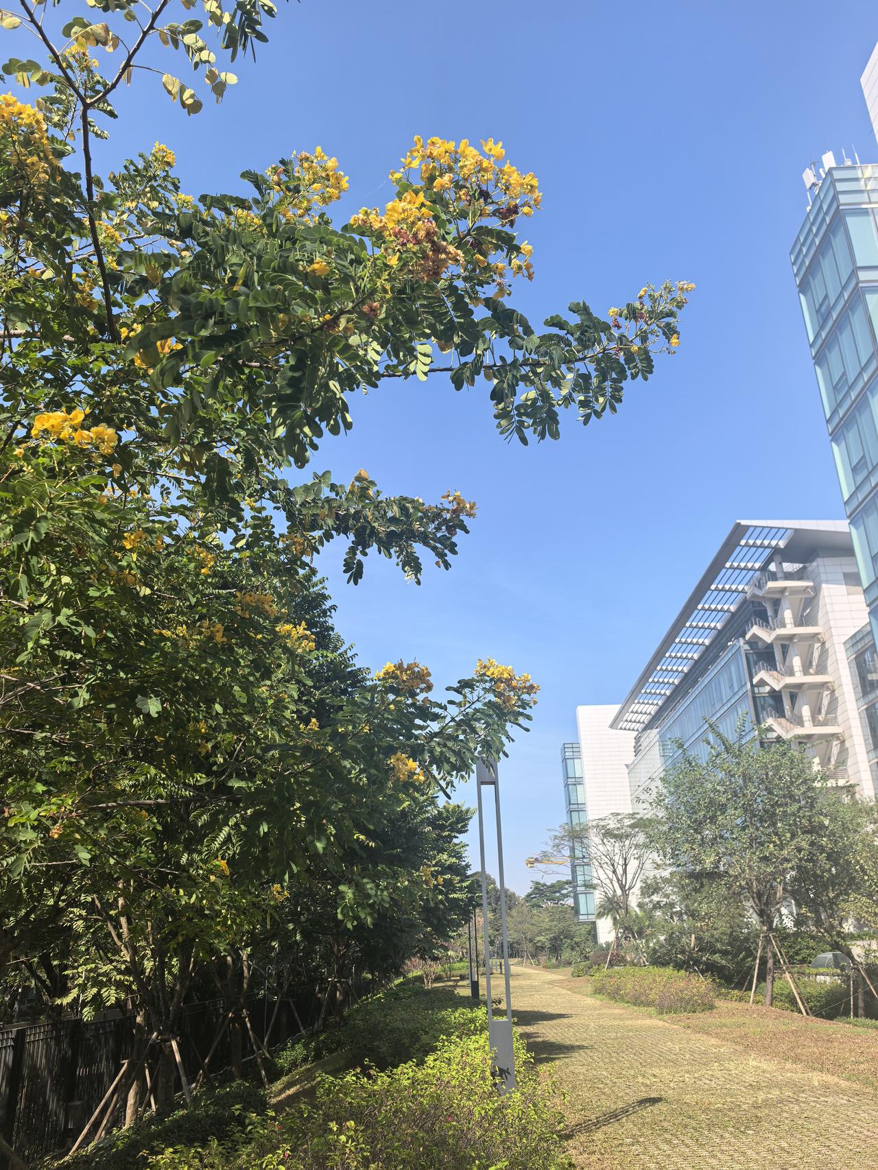 养眼的景色随处可见，只是我们没有留意。