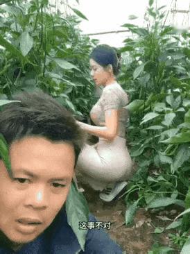 这活实在是干不下去了！
男子到相亲对象家里去，已经在她家菜地连续干了一个星期的活