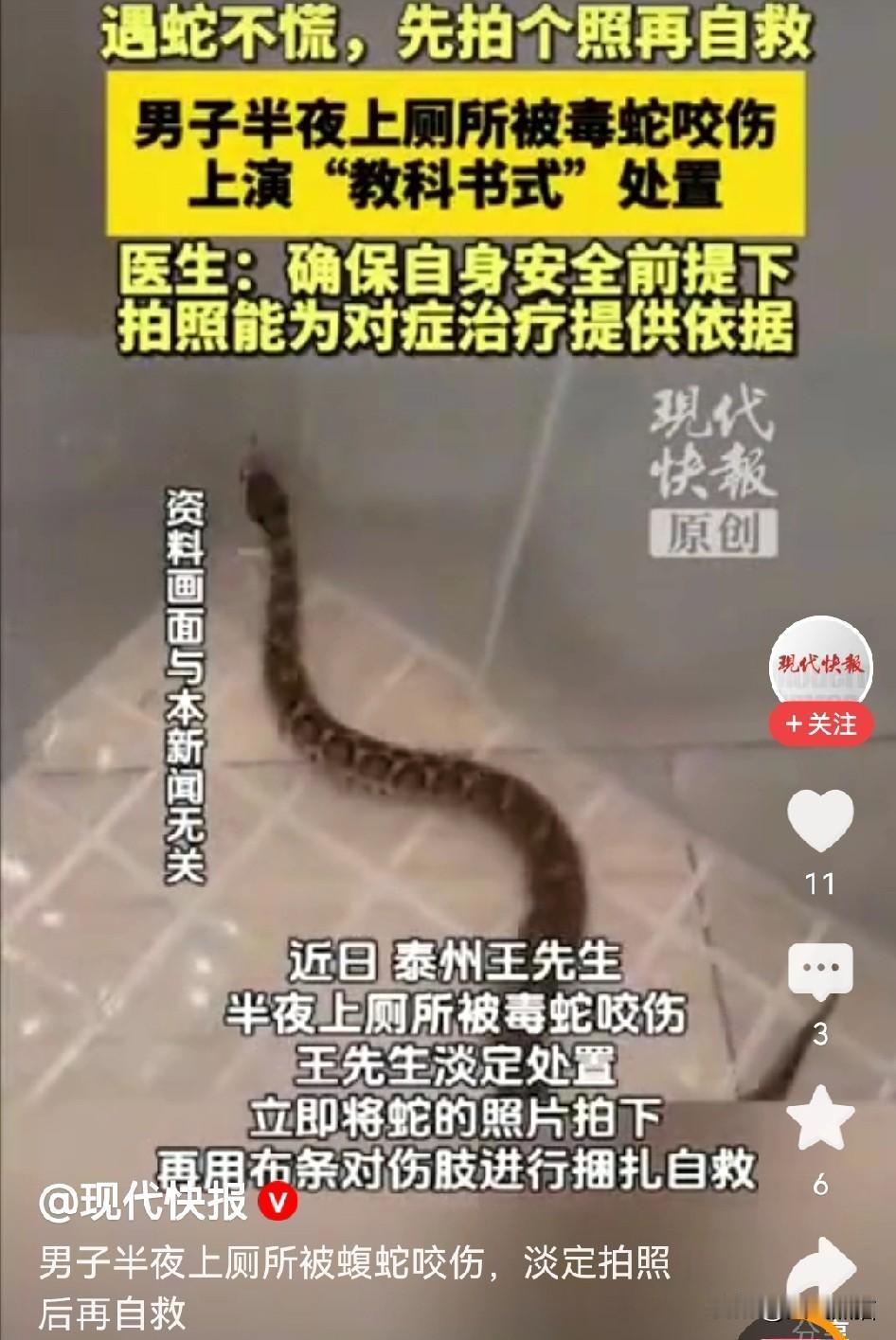 一边是教授说有蛇出没要和平共处，一边是总有居民被蛇咬伤，这两个消息放在一起，总觉