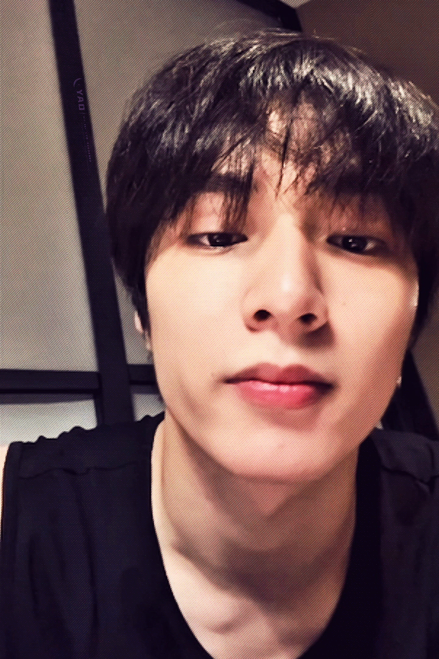 家有黏人小狼狗 