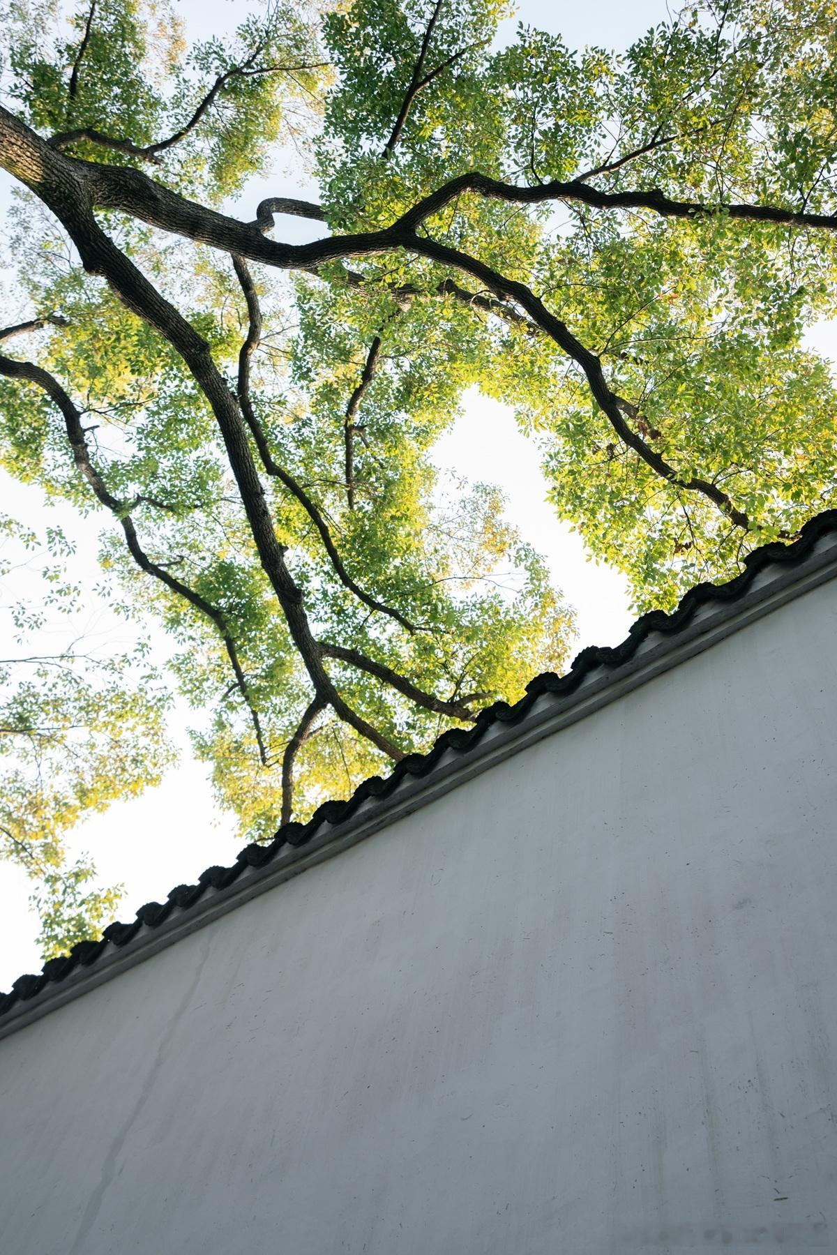 平台属性和价值观的不同，各平台“种草”的内涵和外延存在一些差异。淘宝和抖音属于“