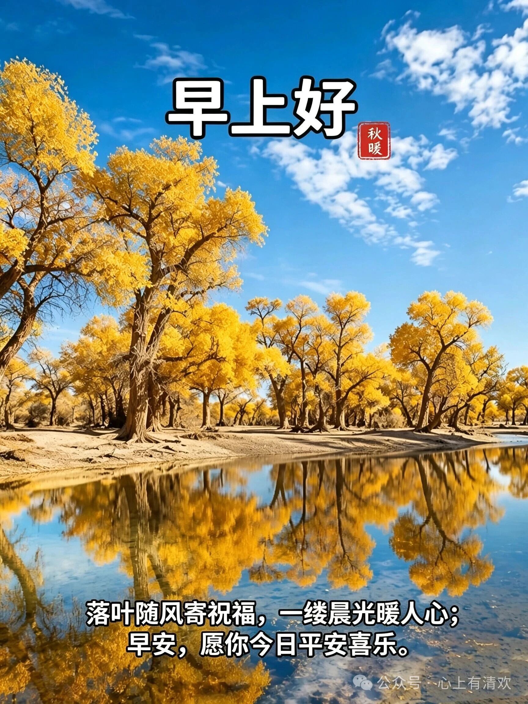 分享图片 ​​​