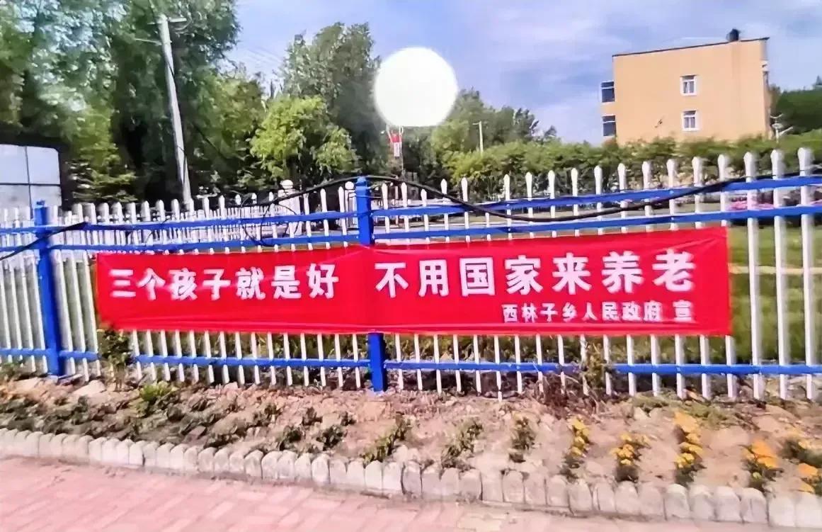三个孩子就是好，不用国家来养老！真的是风水轮流转啊！想当年，第三胎儿子出生后不久