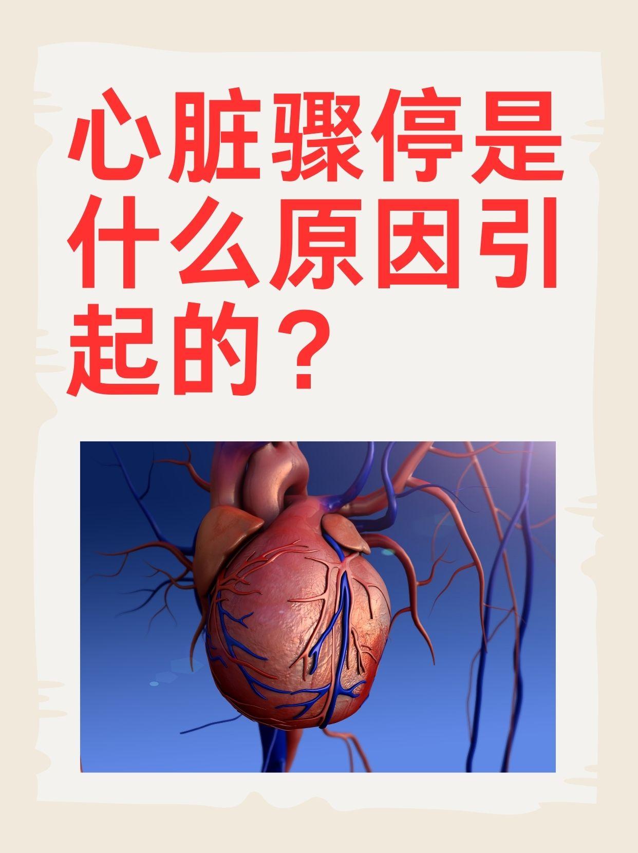 心脏停跳两天还能生还？这并非奇迹，而是现代医学创造的“生命绳索”。
近日，浙江大