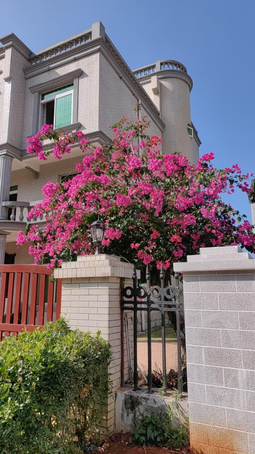 《中小学应该适时推行小班化教学》
中小学的小班化教学的问题，自己深有感触。
本人