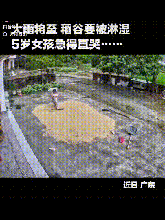“没想到5岁女孩火到了”!广东，女子在田里忙碌，只留5岁女儿独自在家，而院子里晒