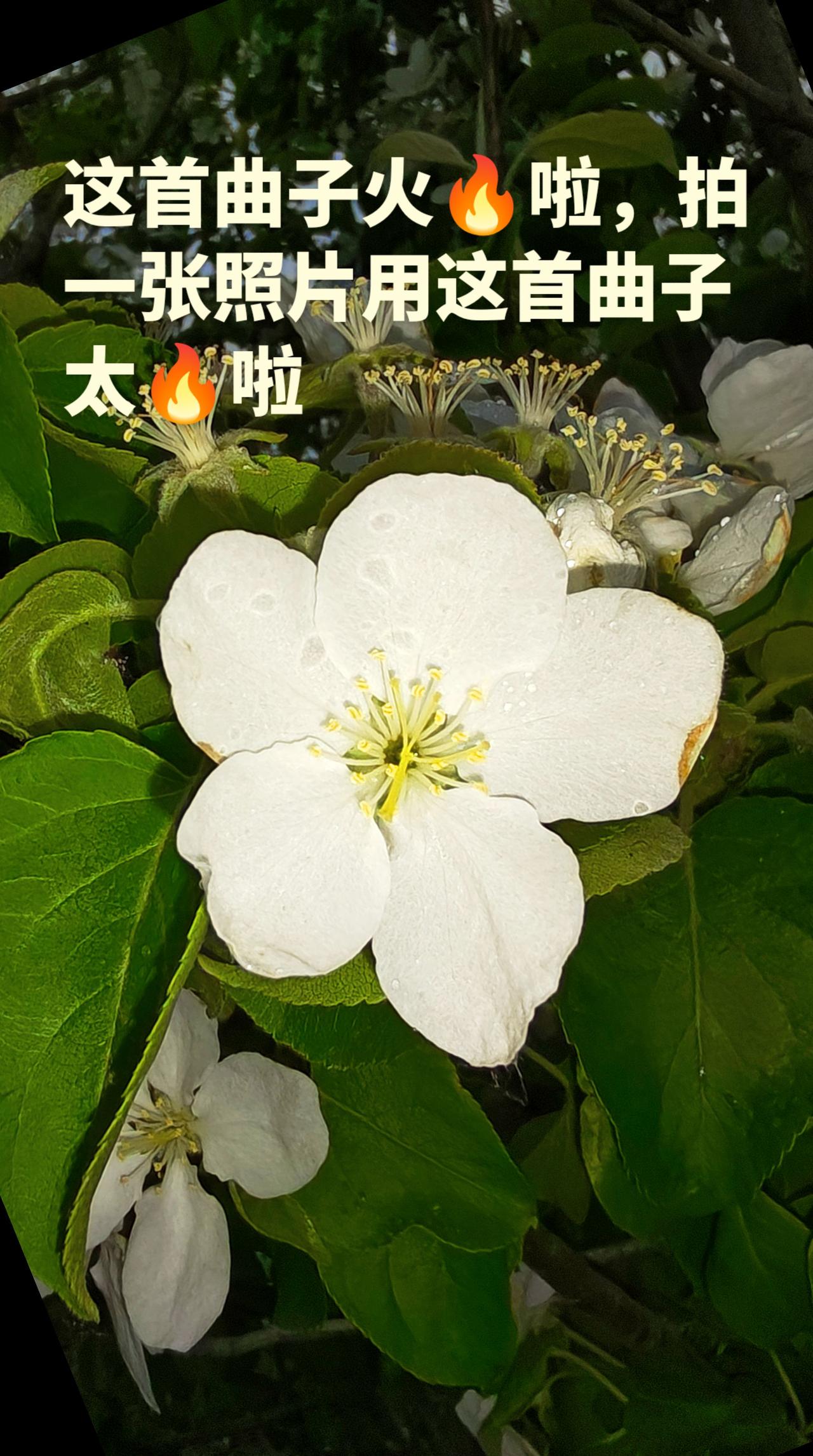 ，赶紧