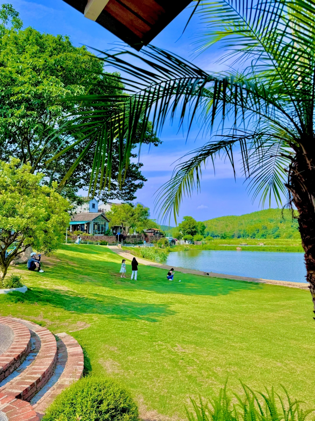 不是大理！真的是南京！！😭…live图