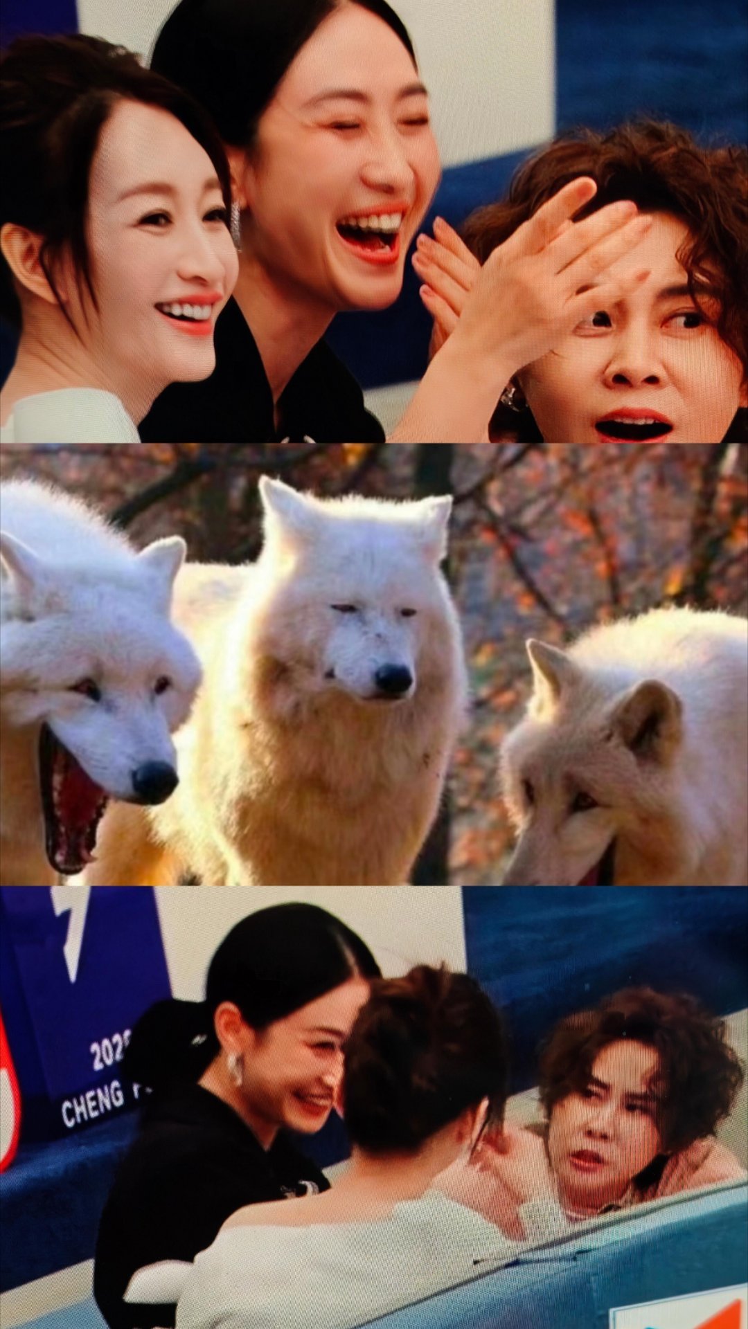 疑似浪姐初见面最大笑点王濛:现场乱的像菜市场！李小冉:对！现在在播哪儿呢？陶昕然