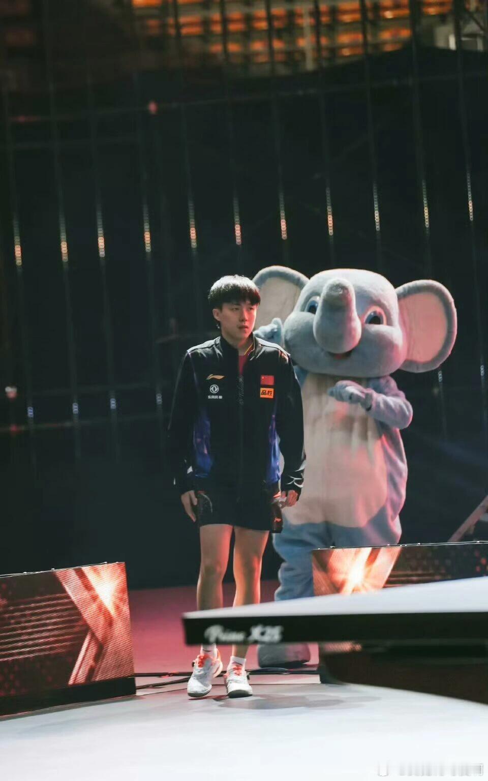 王楚钦和玩偶们同框，这下我们头头脑袋就不大了哦[笑哈哈][笑哈哈] 