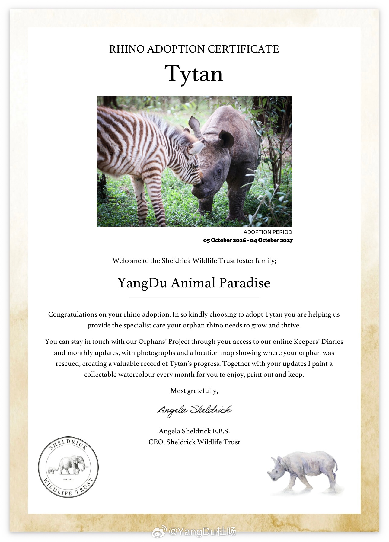YangDu动物乐园2026-2027（黑犀牛哥哥Tytan）的领养证书。🦏希