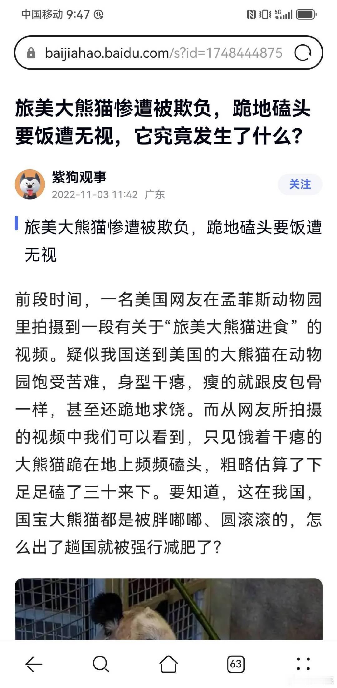 【制造中国熊猫在美遭虐待谣言者被抓捕】2023年初，旅美大熊猫“乐乐”死亡，大熊