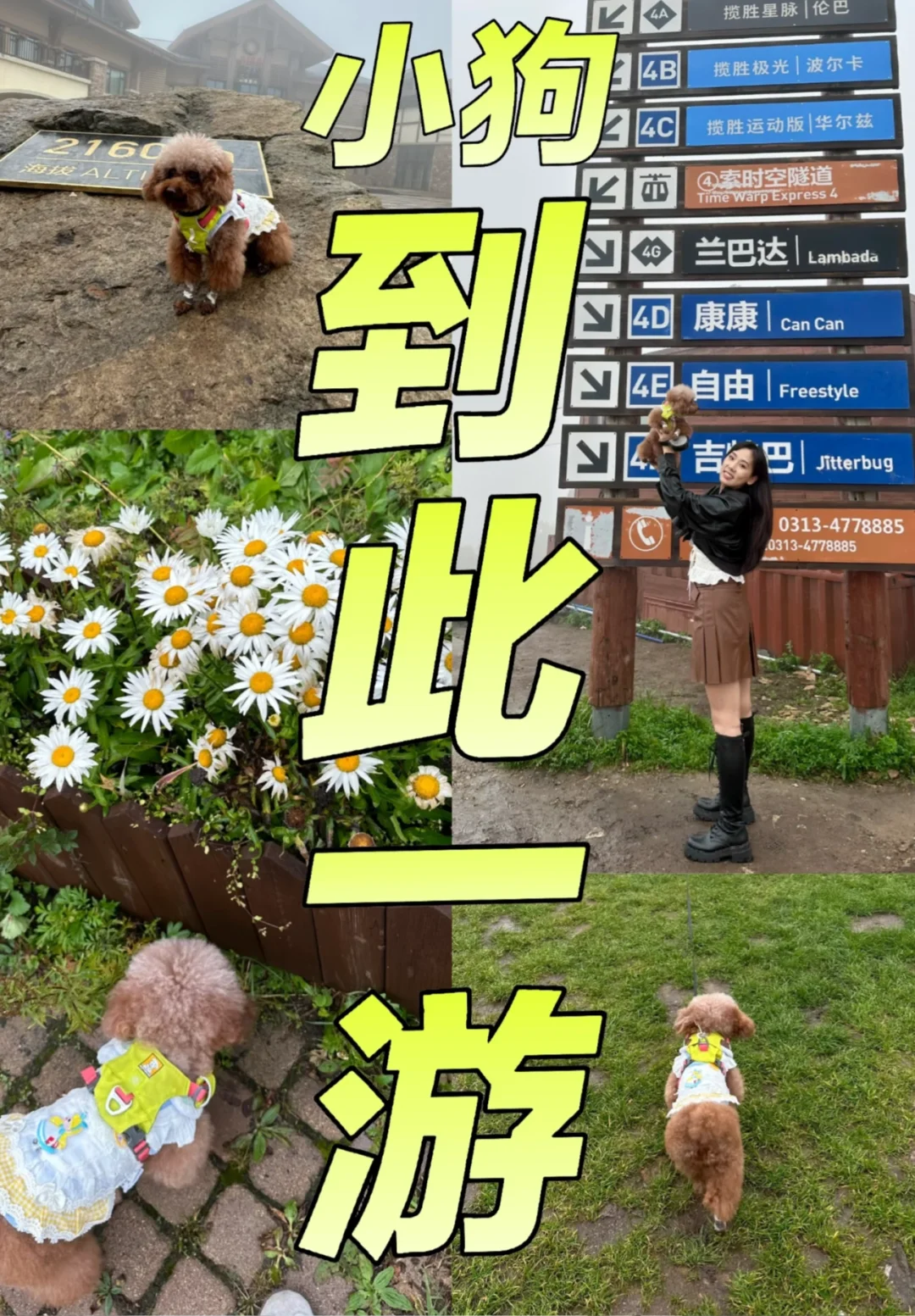 小狗到此一游！