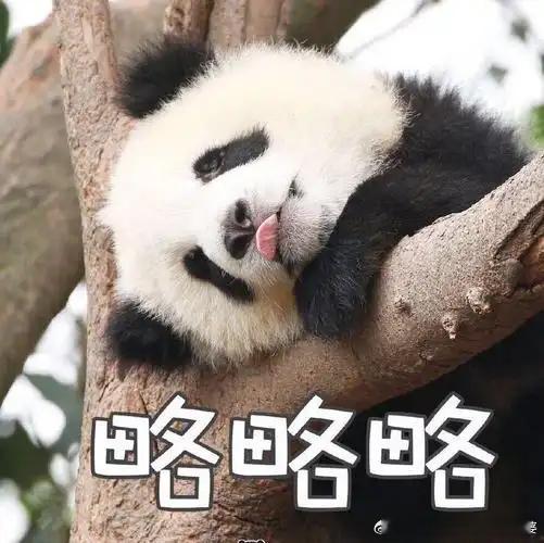 小米许斐徐洁云被取消2025年度奖金某品牌手机近年来不做核心技术，没有外观设计，