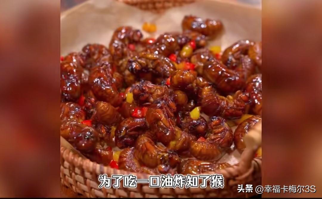 山东抓知了猴的今年直接破防，有人为了整蛊往里面灌奥利给。
 
刷到一山东爱吃知了