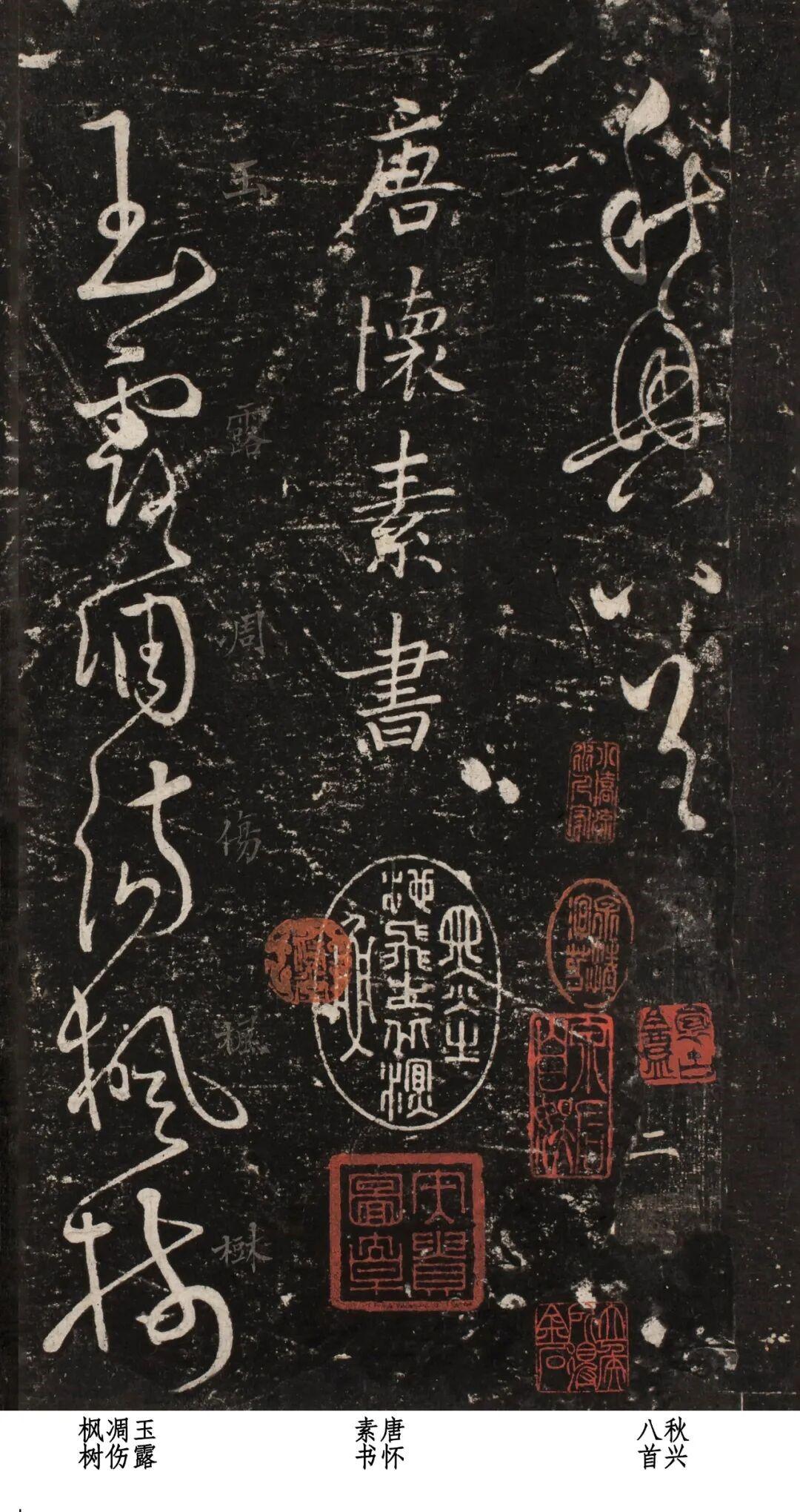 看看怀素16岁写的草书，字字“惊天地，泣鬼神”，难怪张旭比不过他！

书坛针对张