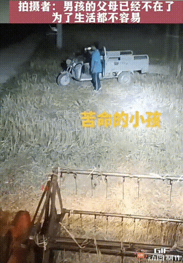 13岁的小男孩，为何会独自在晚上割小麦？

这又是一件令人心酸的事情！在连云港灌