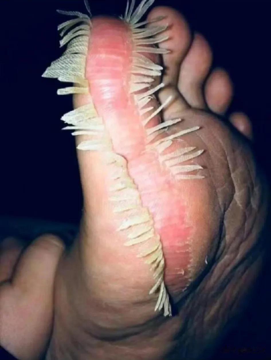 准备洗脚睡觉啦