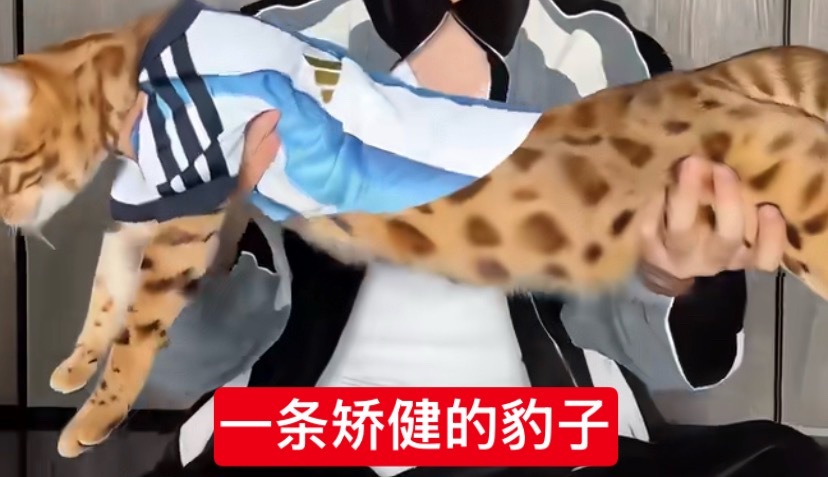 笑的难受 
