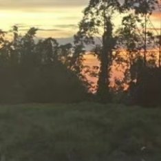 每日一善🌞每日一善 🌞阳光信用人有而AI没有的，是犹豫。倾听他人的烦恼与痛苦
