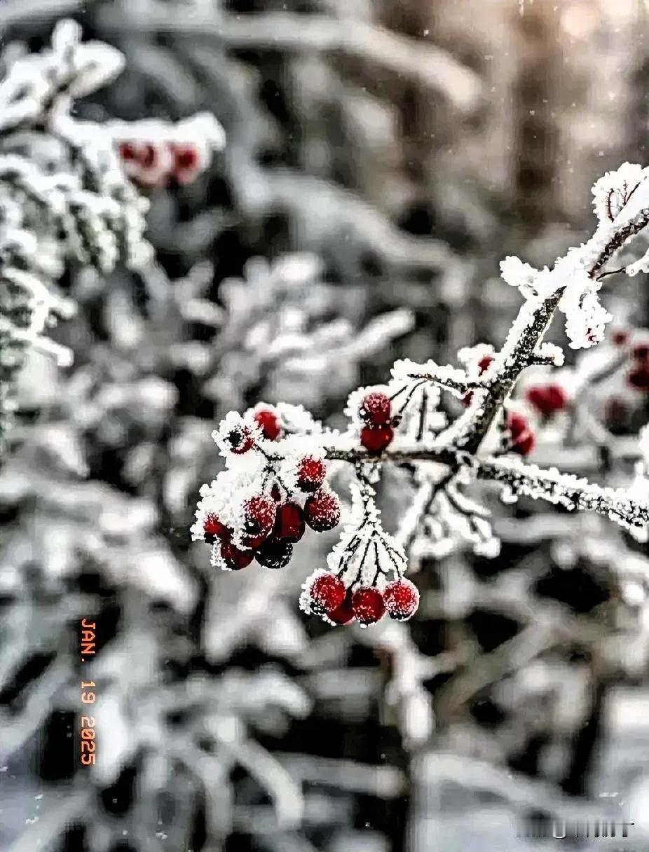 狂风捲起千尺浪，诚邀下联
暴雪纷飞万山白。