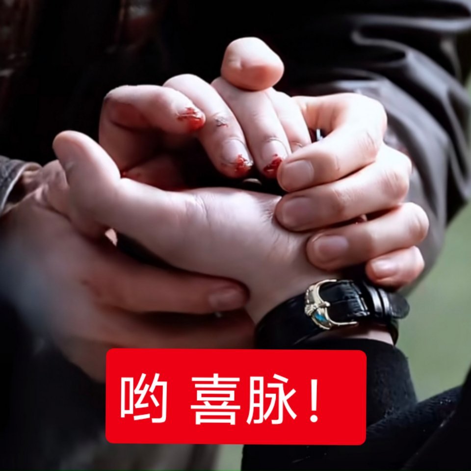 南部档案2 接生的时候我就发这个 ： 