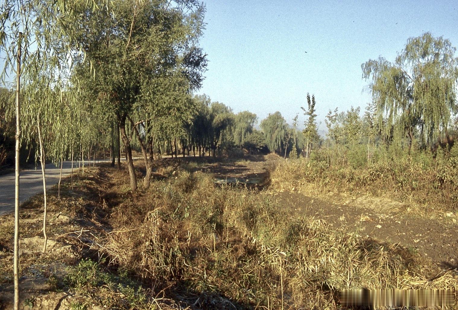 1982年北京圆明园 