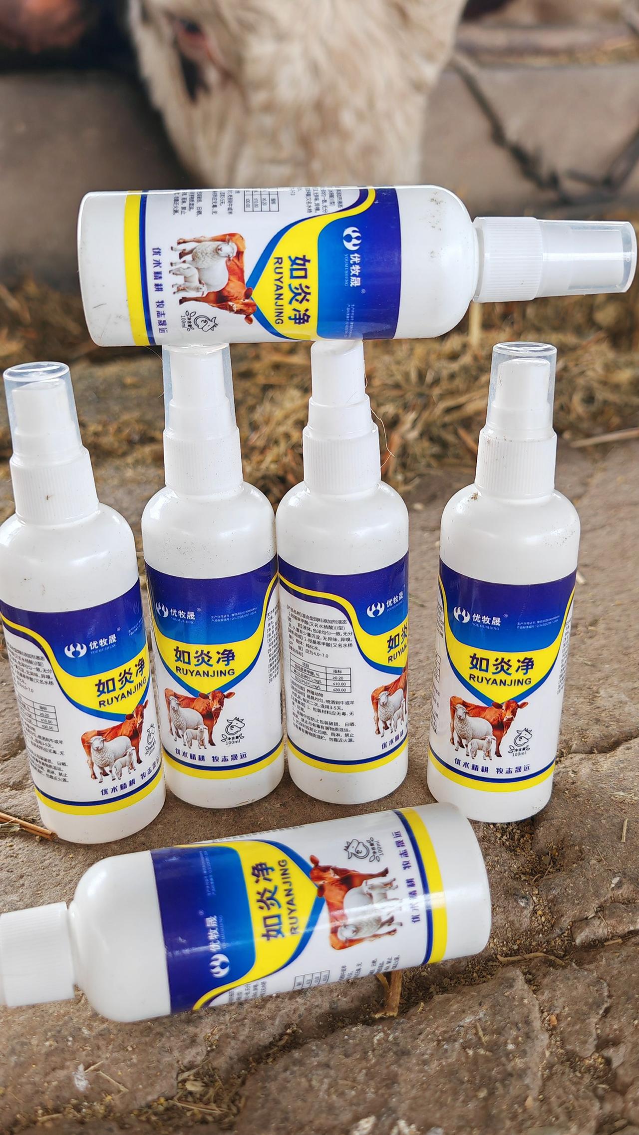 养羊人 牛羊养殖