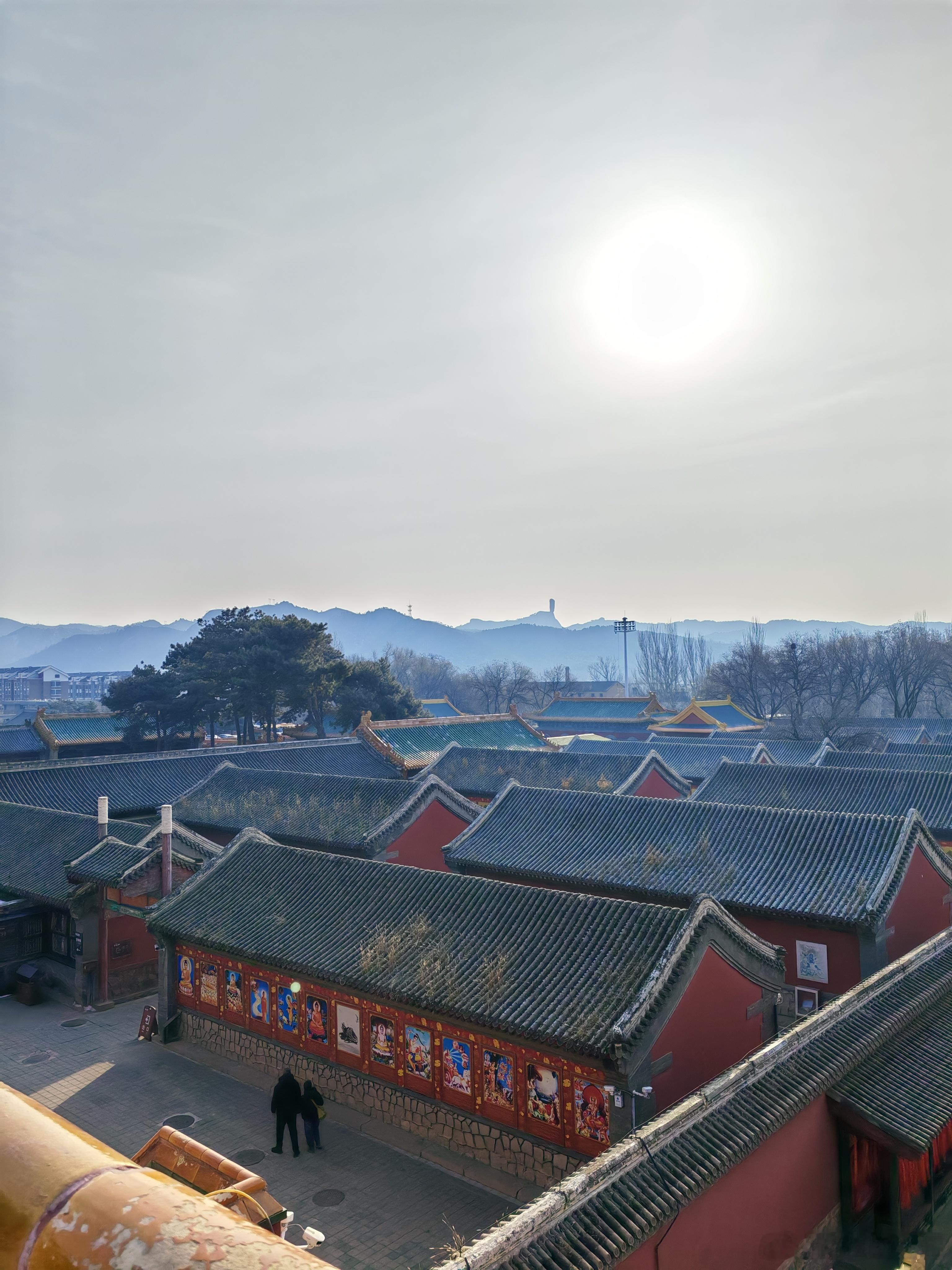 每年都会去，今年有偶遇的不？