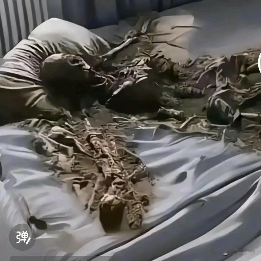 孩子太优秀了！父母很有可能就是这个下场，清华北大毕业，出国留学，然后留在国外生活