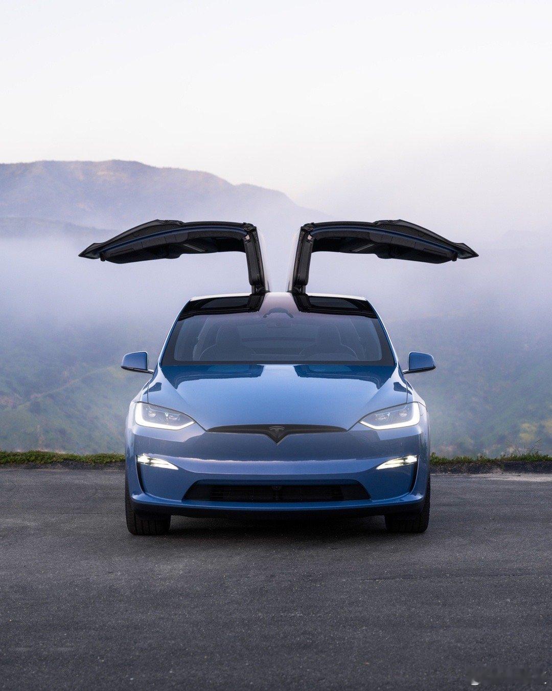 早呀 特斯拉model x ​​​