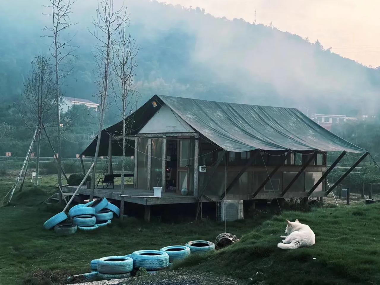 💡开悟之人：出世智慧与入世手段的完美融合💡
 
在这个纷繁复杂的世界里，有一