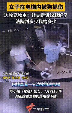 广东，女子面对电梯站着，抱着白色泰迪坐电梯下楼。另一位女子牵着边牧进入电梯，边牧