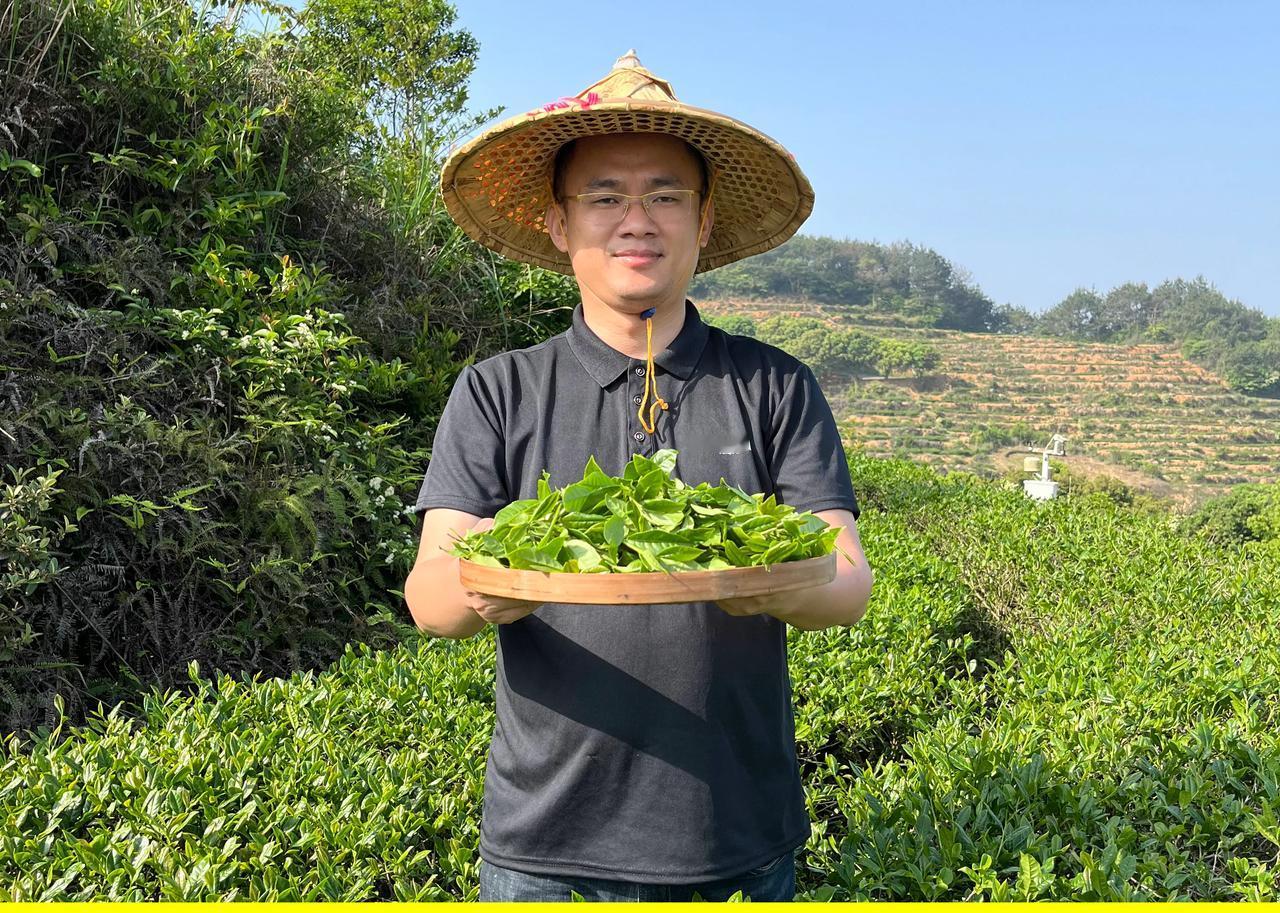 什么是好茶？就是自己喝过了，感觉合适的茶就是好茶，不管是铁观音，还是红茶，不论是