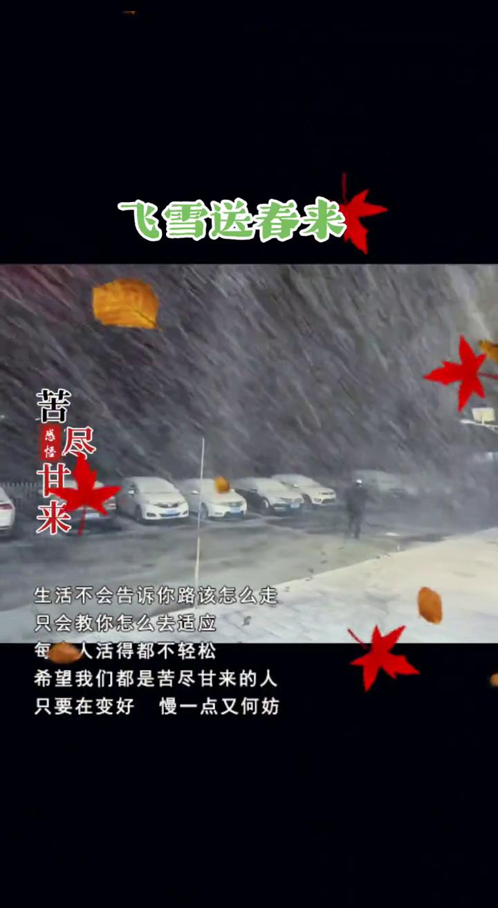 飞雪送春来，苦尽甘来。生活不会告诉你路该怎么走，只会教你怎么去适应。每个人活得都