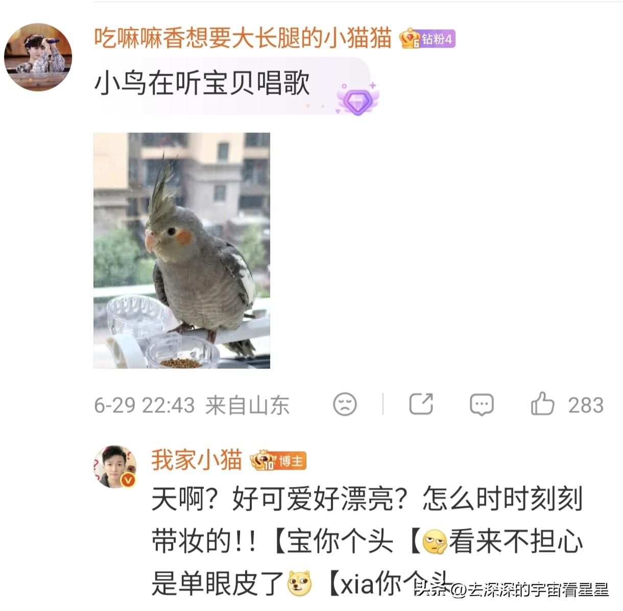 入坑快5年了，今天终于被宝贝回复了啊啊啊啊啊啊啊啊啊好幸福[心][心][心]@周