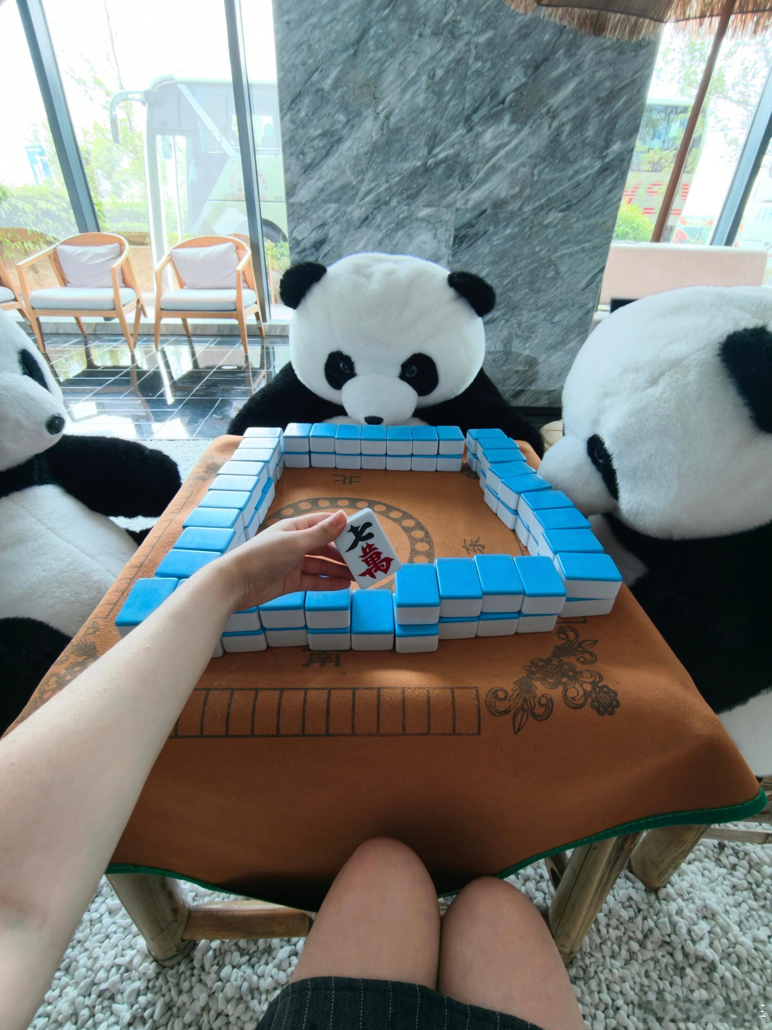 小助理来成都没白来四川的灵魂精髓体验到了和三只熊猫憨憨当牌搭子，应该包赢吧 成都