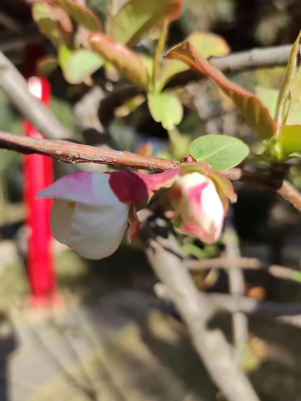 这世界上，从来不是只有你一个人。
你以为的“自我”，
本就是在关系里被一点点塑造