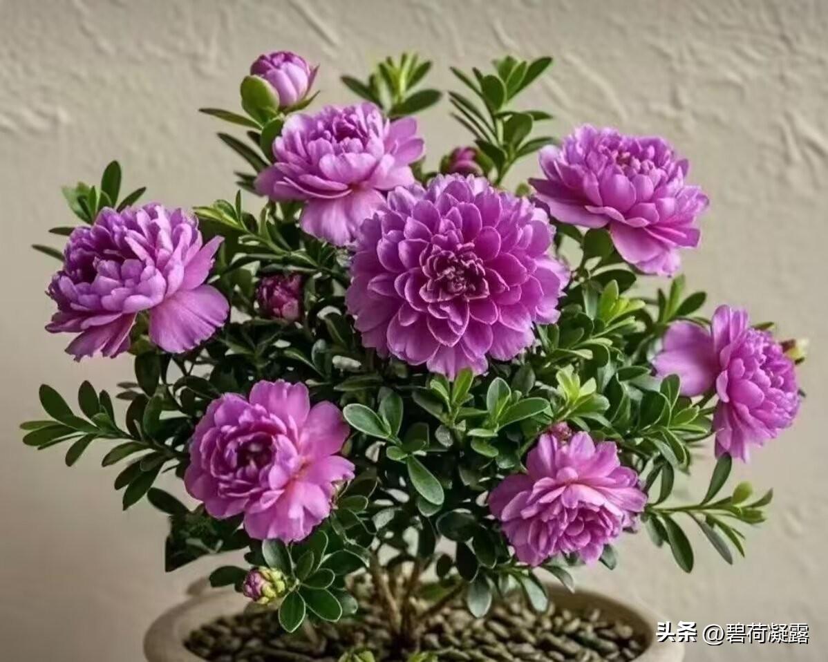 三月，春暖花开，万物可爱。愿你所遇皆美好，所行皆顺利，所想皆成真，日子温柔又闪光