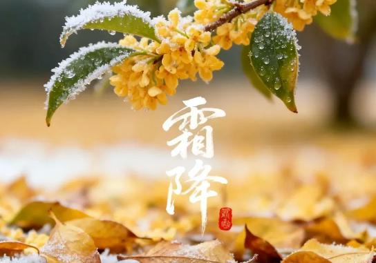 明日霜降，不管多忙，记得给孩子吃“1果2肉3菜”，应季而食，顺利入冬
大家好，我
