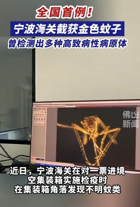 又是美国，又是病毒，这次不是实验室，是一整船“带毒蚊子”直接开到中国宁波！
 