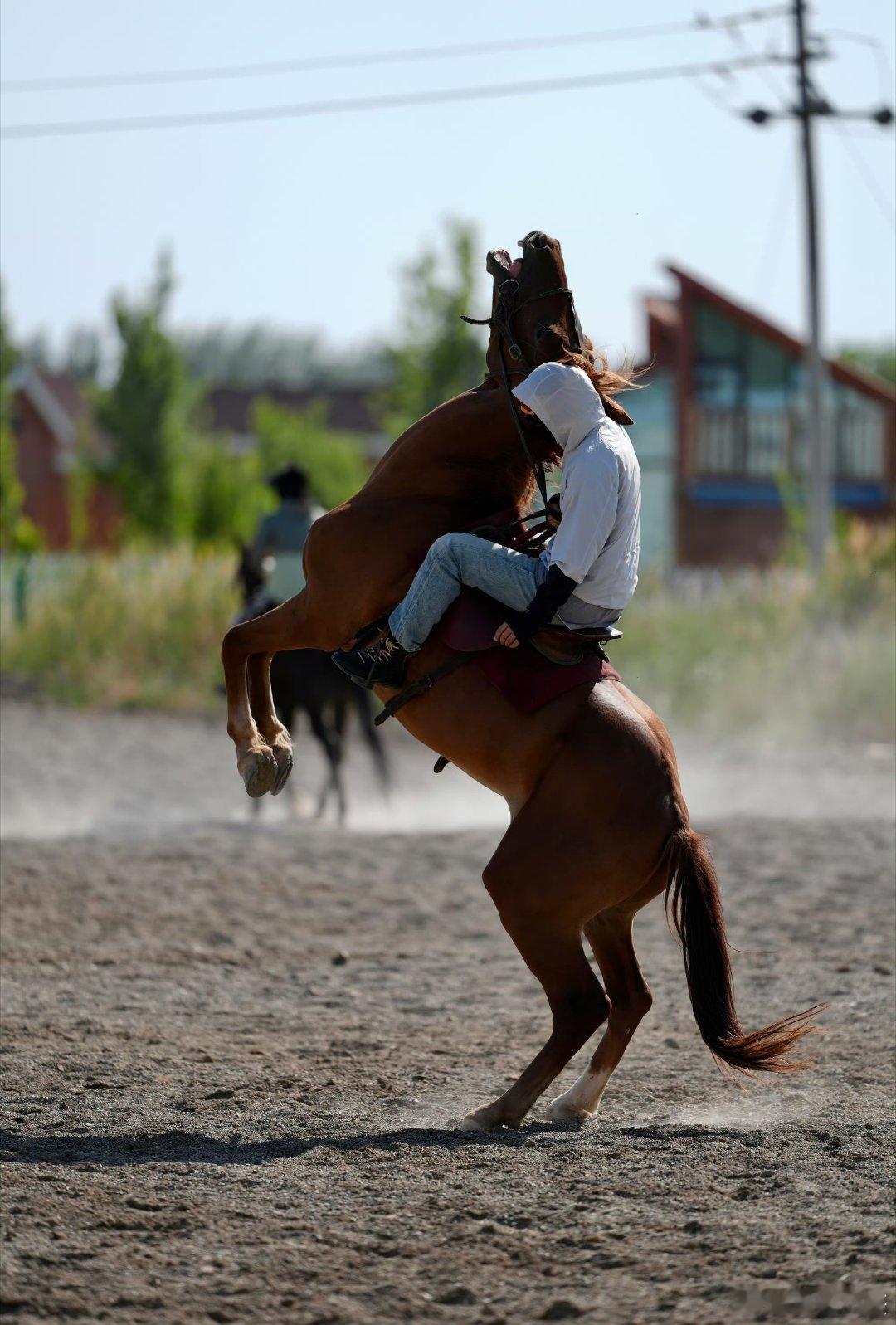 此沙三登春晚全是创意节目此沙连续三年春晚玩出新花样！双截棍轮滑舞龙到剪纸戏狮威亚