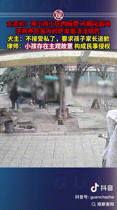 近日，两男孩把一只宠物犬活活烧死的消息，冲上了热搜，引发网友们的热议。

事情发