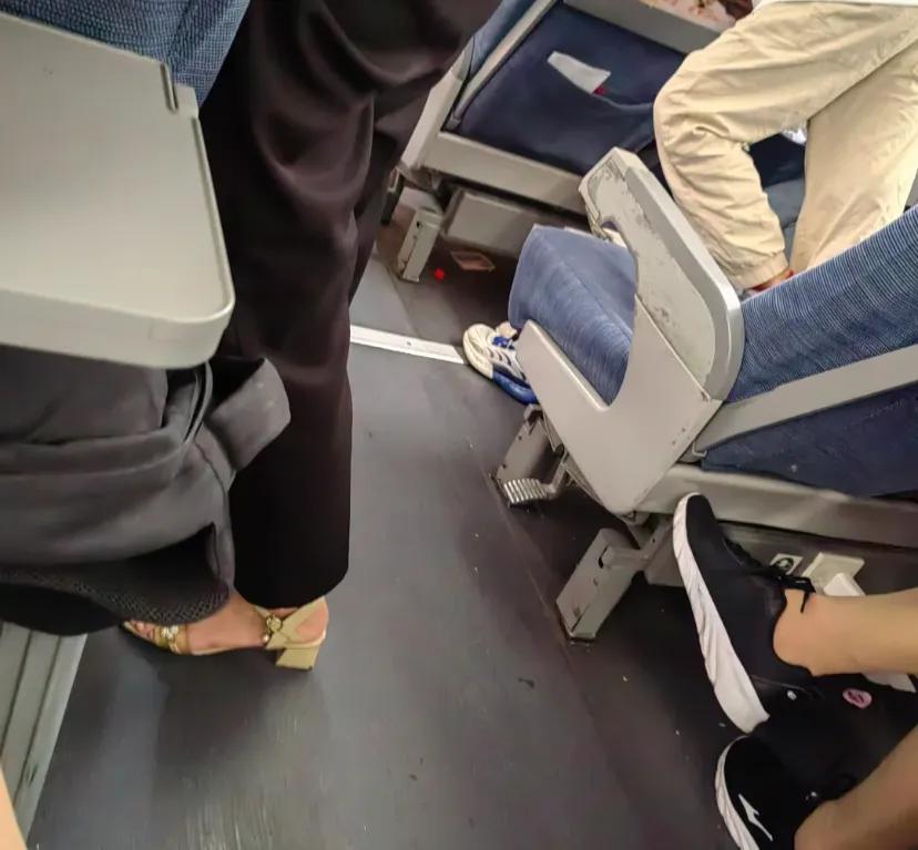 高铁票花了600元还不如去坐火车系列
绝了，毛孩子来回在过道跑，叽叽喳喳，要不是