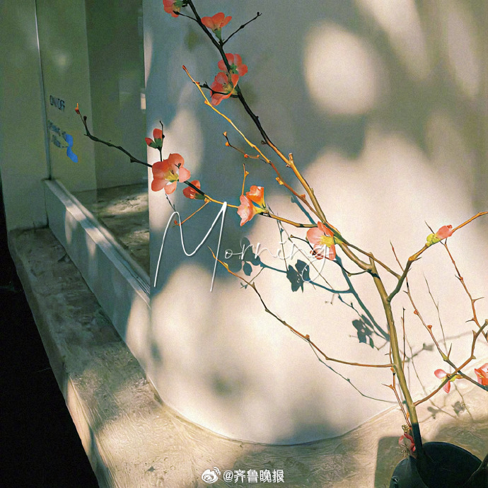 你未来的样子藏在现在的努力里。#早安#